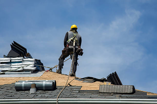 Professional Storm Damage Roof Repair technician working in De Soto, IL
